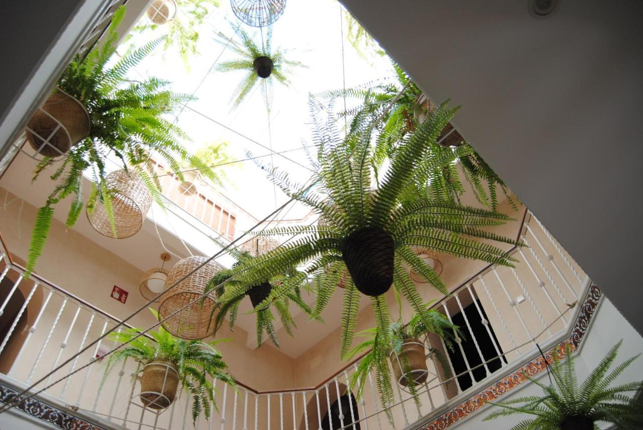 Cordoba Guest house